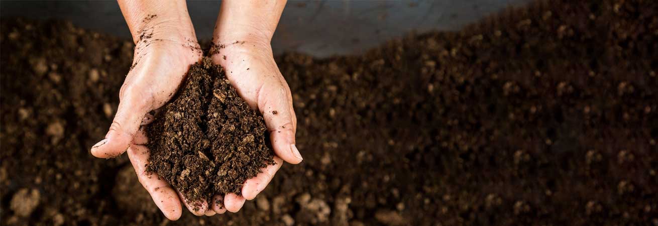 صفر تا صد نیاز گیاهان شما